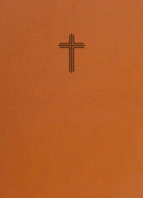 Bibel 2026 utan noter - konstskinn