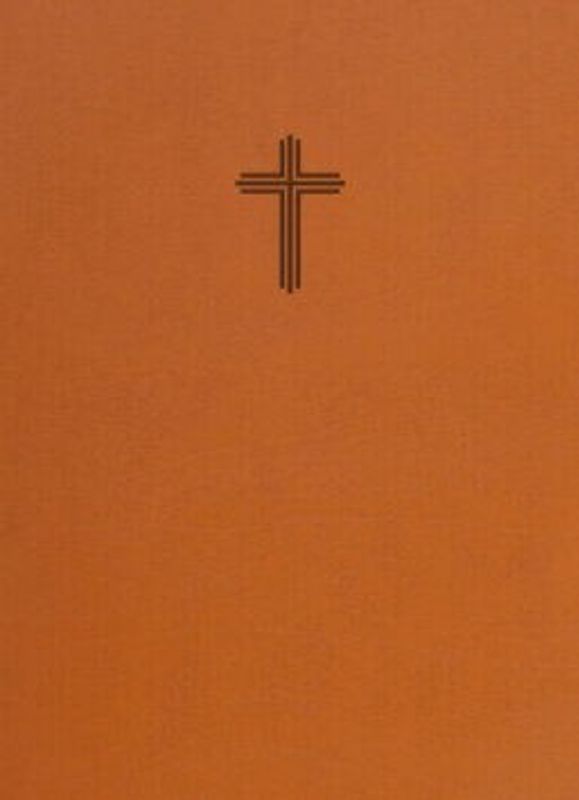 Bibel 2026 utan noter - konstskinn
