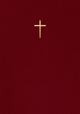 Bibel 2026 - Vinröd konstskinn