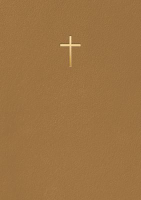 Bibel 2026 - Bärnsten konstskinn