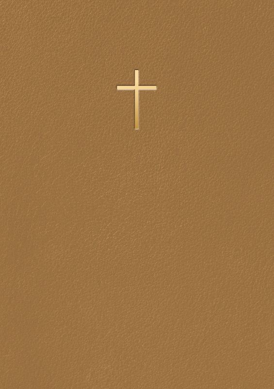 Bibel 2026 - Bärnsten konstskinn