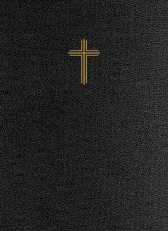 Bibel 2026 med noter - konstskinn