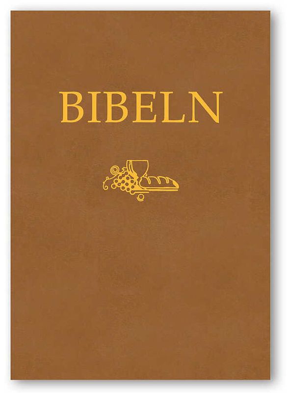 Kompaktbibeln SFB 2015, brun skinnimitation