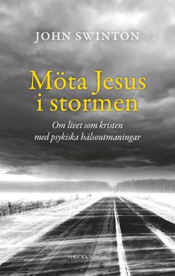 Möta Jesus i stormen: om livet som kristen med psykiska hälsoutmaningar - John Swinton