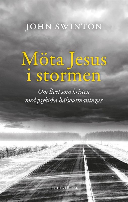 Möta Jesus i stormen: om livet som kristen med psykiska hälsoutmaningar - John Swinton