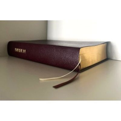 Reformationsbibeln - Helbibel - Vinröd - Bonded leather