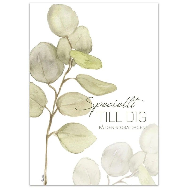 Vykort - Specielt till dig