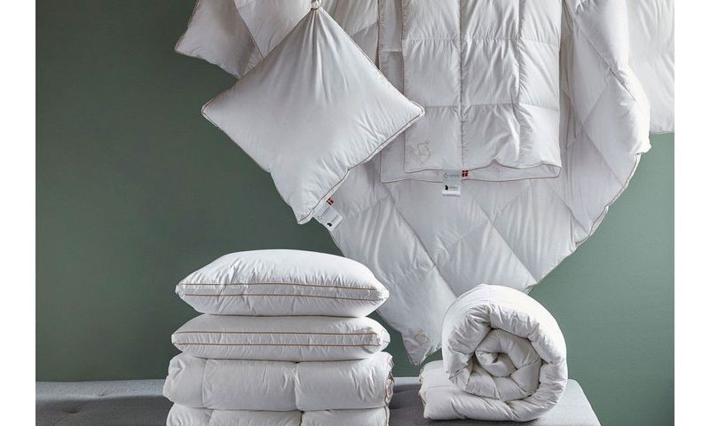 cc0jcL3XmFWNTmf1718712799