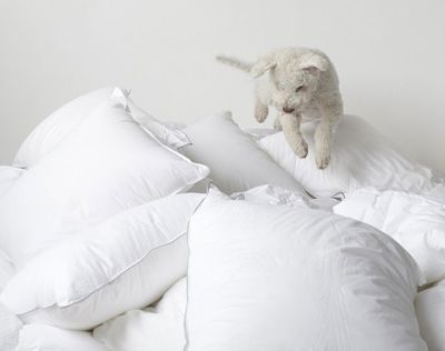 Hotellpaket Grön Standard - Täcke, kudde och bäddset