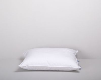 Blåklocka Kudde 50x60 Värnamo of Sweden