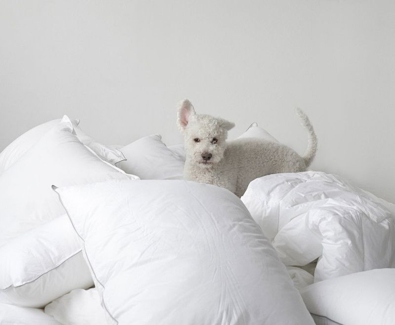 Sl93TpDZbivKrQ51770732974