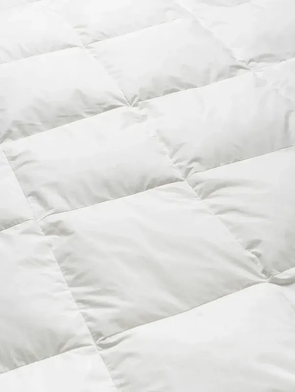 rp40sf3KvzGsG2M1759912497