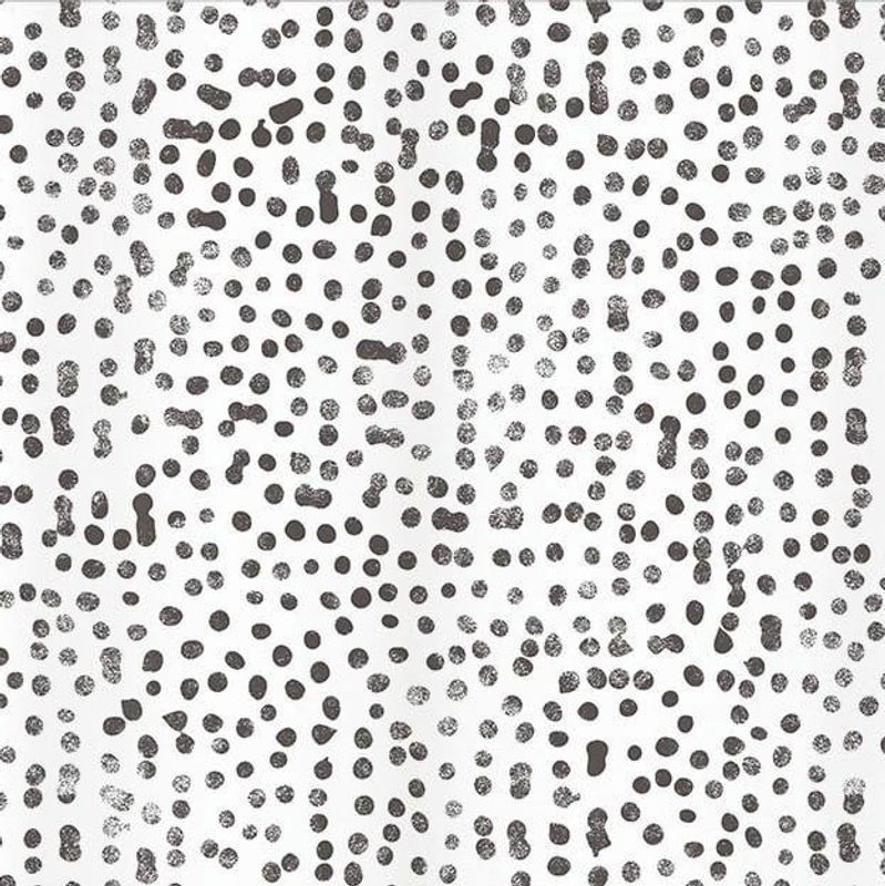 Ao7qvkrRyi0S4Im1758105241