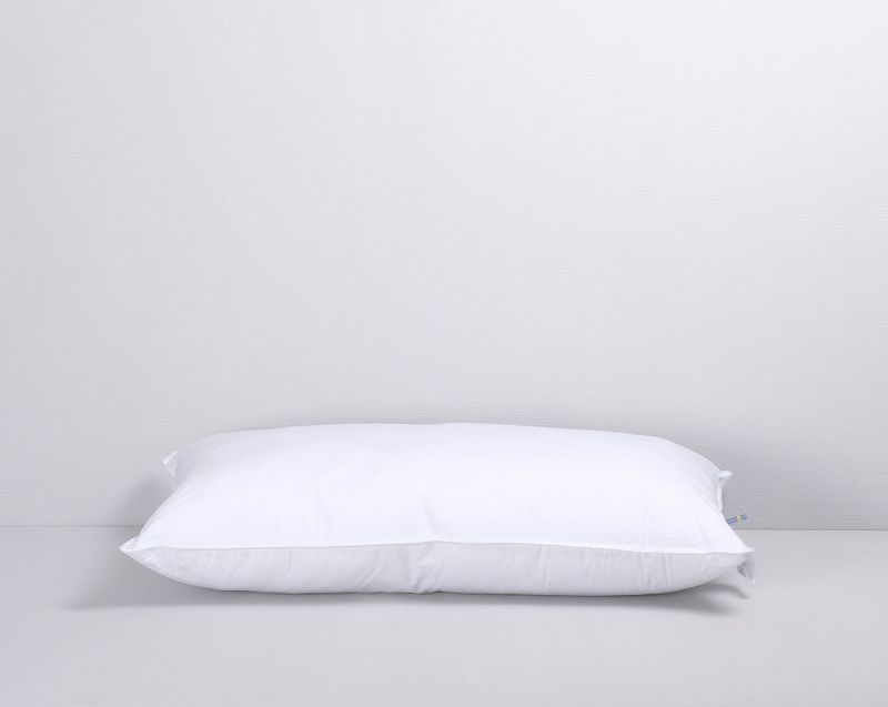 fPFU1YSdtEn7ZXz1743586477