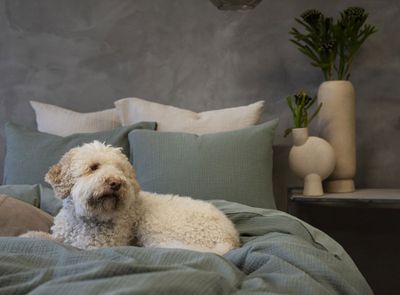 Enfärgat Grön Påslakan Dubbeltäcke 220x210