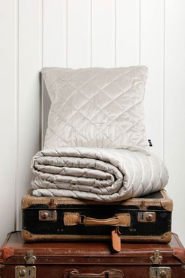 Kuddfodral Sammet Sand 50x50 Kosta Linnewäfveri