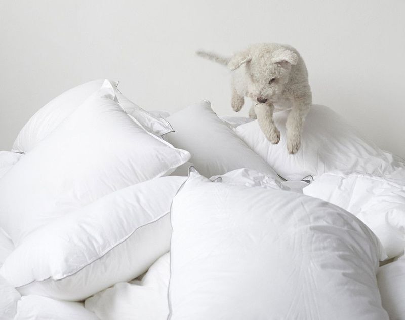 lXjgD8I1JxaIQi91726656845