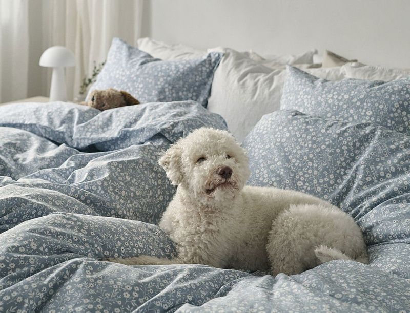 9QDWHtZihy4Llzg1737035794