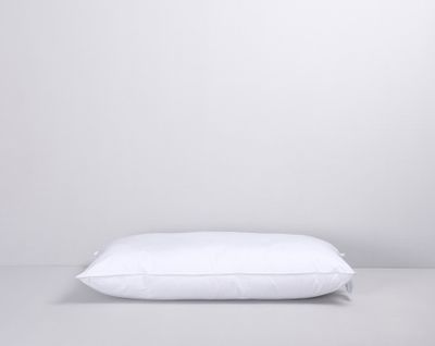 Anemon Allergivänlig Kudde Medium 50x90 Värnamo of Sweden