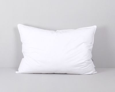 Anemon Allergivänlig Kudde Medium 65x90 Värnamo of Sweden