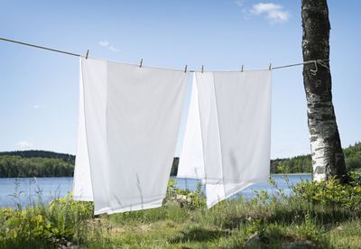 Lakan Vit Enkelsäng 180x260 Borganäs of Sweden