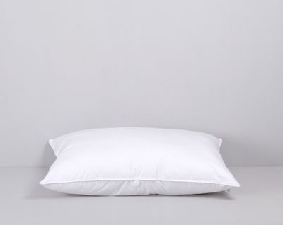 Anemon Allergivänlig Kudde Medium 65x90 Värnamo of Sweden