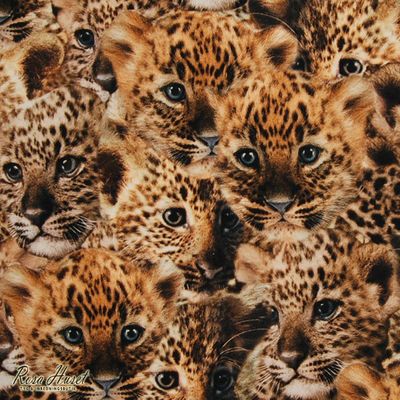 Leopard digital trikå tyg med leopard ungar