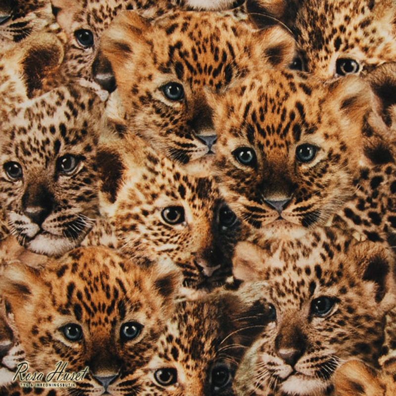 Leopard digital trikå tyg med leopard ungar