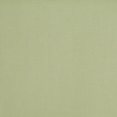 Lacquer fabric light green