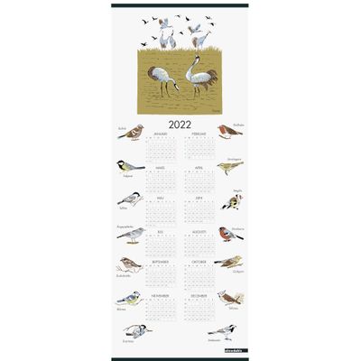 Svenska Fåglar, kalender 2022 | Rosahuset.com