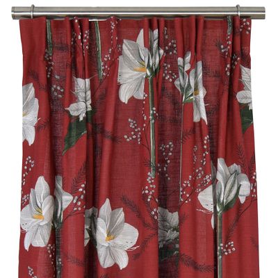 Amaryllis red curtain