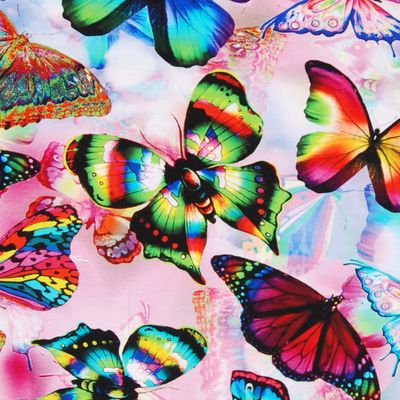 Rainbow butterflies jersey