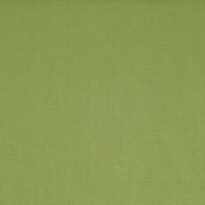 Lacquer fabric apple green