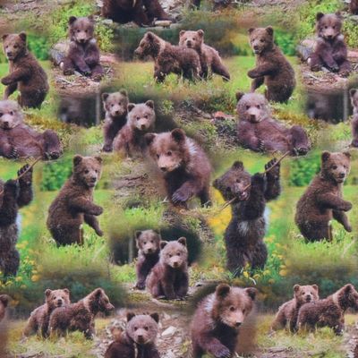 Baby bears trikå