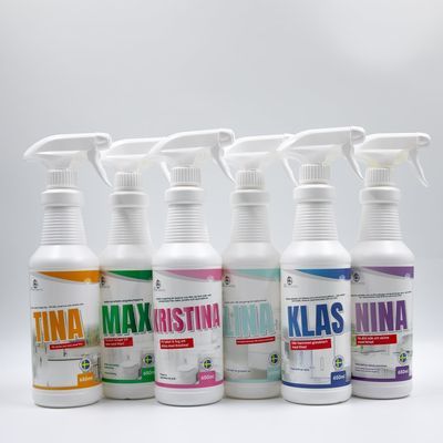 Rengöringspaket Stor + Bosse Mini