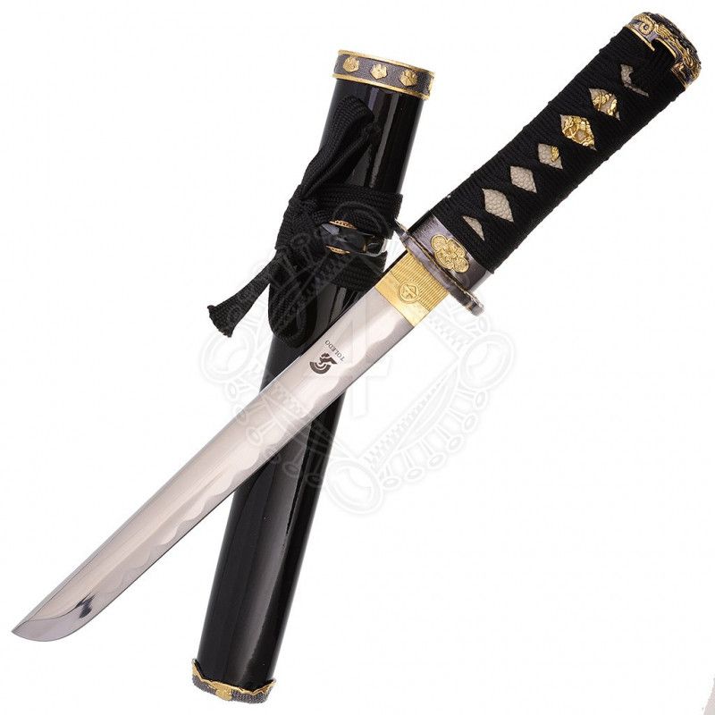 Gladius tanto