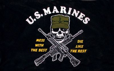 amerikanska marinkårens flagga