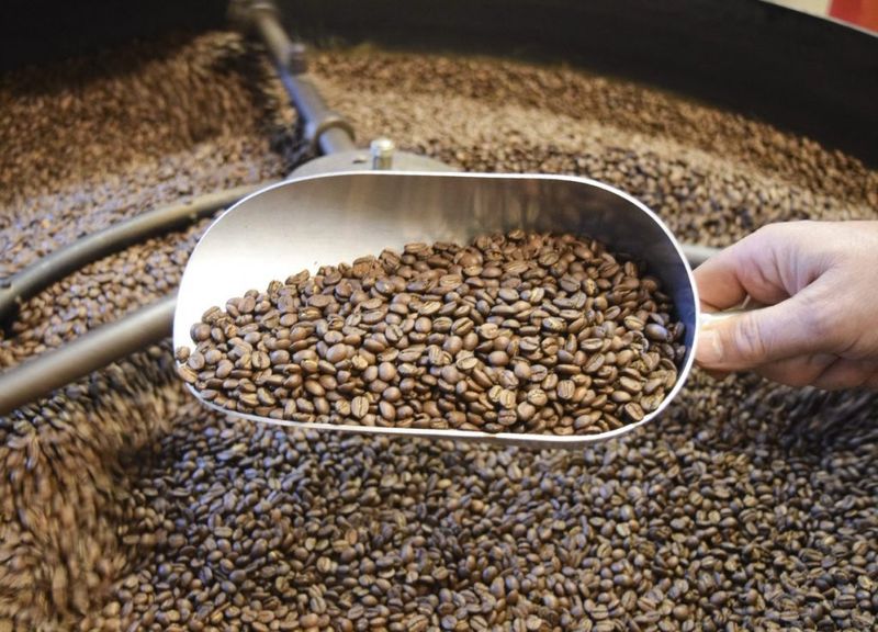 K.W KARLBERG VILDMARKSKAFFE 225 GRAM KOKKAFFE - 6 PACK