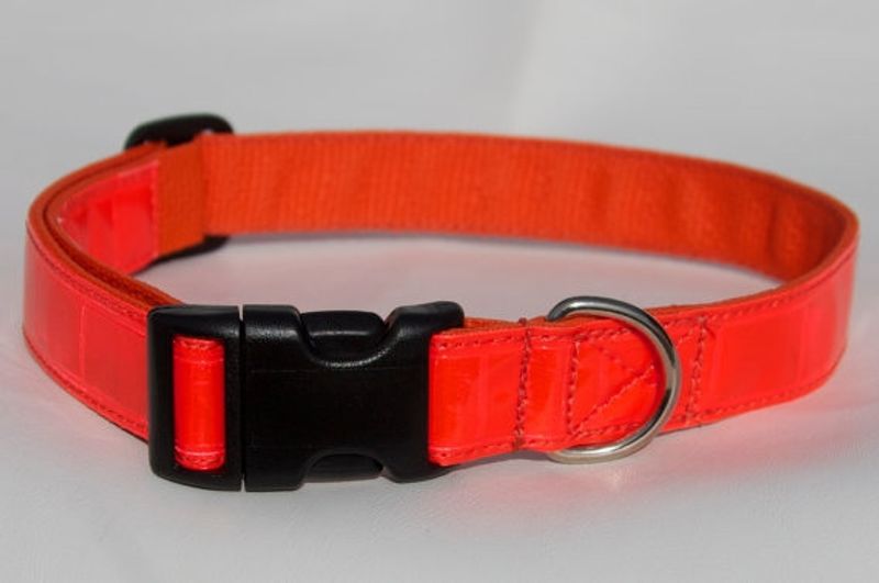 Orange hundhalsband