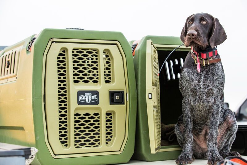 PRIMOS KENNELUP HUNDBUR FÖR TRANSPORTER