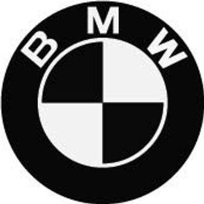 "BMW Logo" (247x247mm)