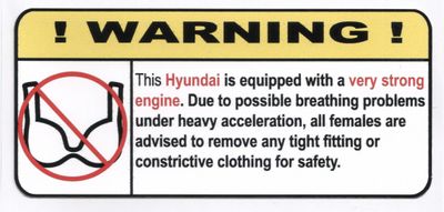 "Ej BH i Hyundai" Varningsdekal 