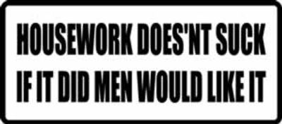 "HOUSEWORK DOES`NT SUCK..." 400x176mm