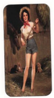 "Skattemärke" Pin-up -PR-168-