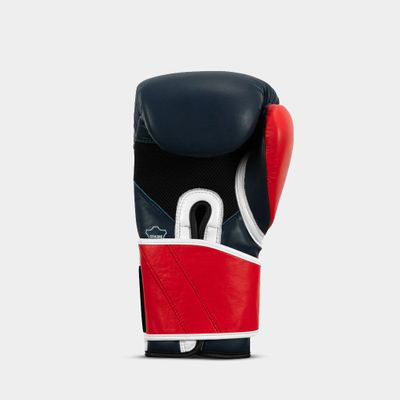 Sugar Ray Leonard 1976 Montreal Special Edition Leather Training Gloves