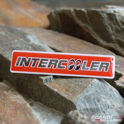 Pin: INTERCOOLER