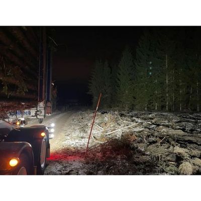 Triton 180W Heavy Duty arbetsbelysning (Flood)