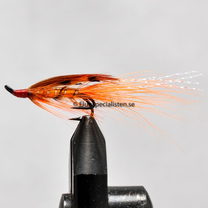 GP Orange