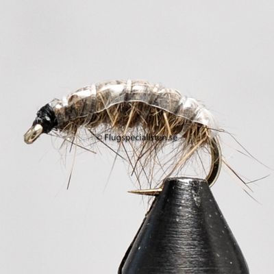 Czech nymf