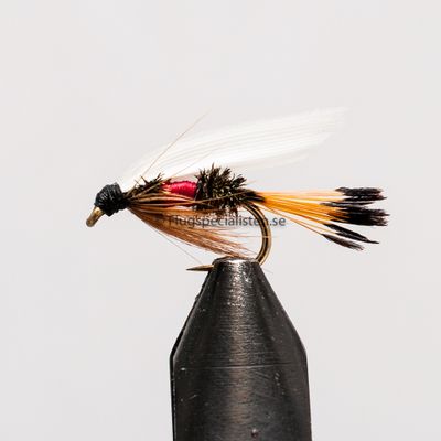 Royal Coachman 